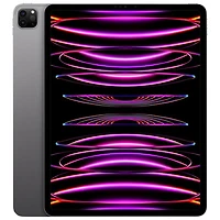 Apple iPad Pro 12.9" 512GB with Wi-Fi & 5G (6th Generation) - Space Grey