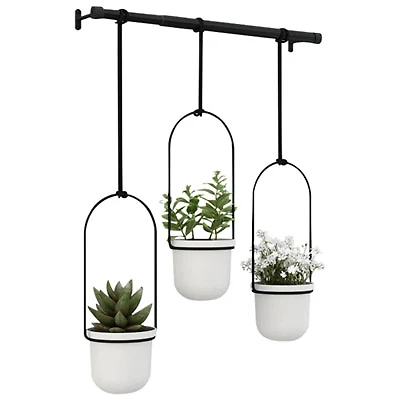 Triflora Modern Hanging Planter - White