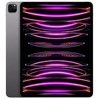 Open Box - Apple iPad Pro 12.9" 2TB with Wi-Fi (6th Generation) - Space Grey
