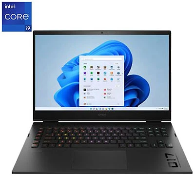 Open Box - HP 17" Gaming Laptop - Shadow Black (Intel Core i9 13900HX/2TB SSD/32GB RAM/GeForce RTX 4090 /Win 11)