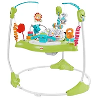 Fisher-Price Fitness Fun Folding Jumperoo