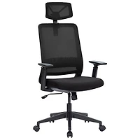 Naz Expert Ergonomic Mesh Executive Chair with Headrest - Black
