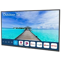 Neptune Full Sun 55" 4K UHD HDR LED webOS Outdoor Smart TV (ODTV5504)
