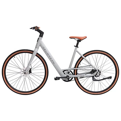 DeLorean DM300 700C Electric Bike (Up to 99.78km Battery Range/ 32km/hr Top Speed