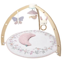 Aden + Anais Play + Discover Activity Gym Mat