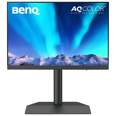 BenQ 24.1" WQHD 60Hz 5ms GTG IPS LCD Monitor (SW242Q) - Metallic Gray