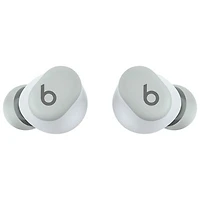 Beats By Dr. Dre Solo Buds In-Ear Sound Isolating Truly Wireless Headphones