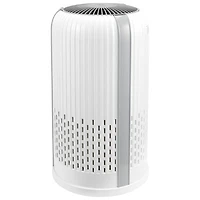 HoMedics TotalClean T12 4-in-1 Purifier