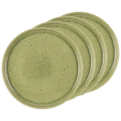 Mesa Ceramics Uno 4-Piece Stoneware Dinner Plate - Speckle Green
