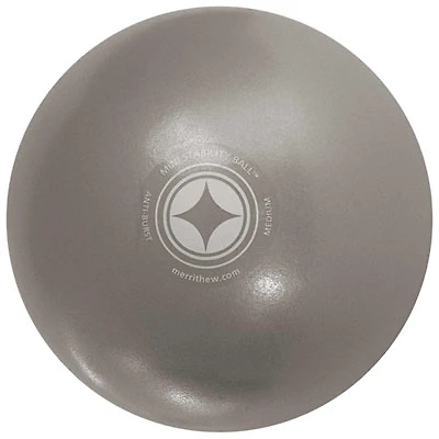Merrithew Mini Stability Ball - Medium - Silver