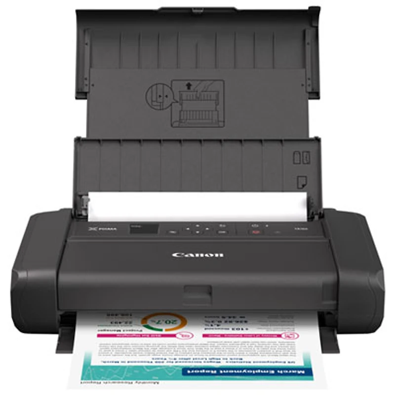 Canon PIXMA TR160 Wireless Portable Inkjet Printer