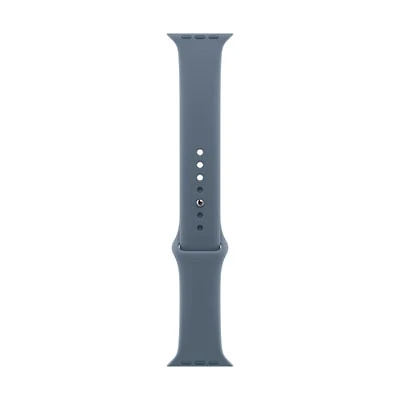 Apple Watch 42mm Sport Band - Anchor Blue - Small / Medium