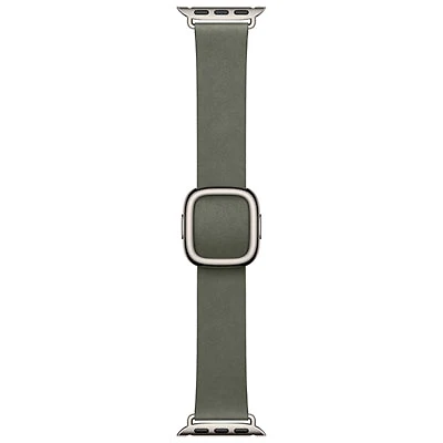 Apple Watch 42mm Modern Buckle - Sage Grey - Large 160-180mm