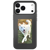 Incase Transfer E-Display Fitted Hard Shell Case with MagSafe for iPhone 17 Pro Max - Black