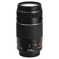 Canon EF 75-300mm f/4-5.6 DC Zoom Lens