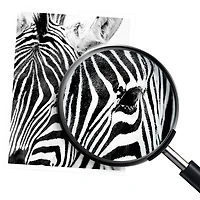 Cartouche d'encre noire 61 de HP (CH561WN#140)