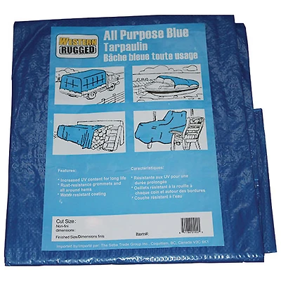 Toile de 20 x 20 pi de Western Rugged - Bleu
