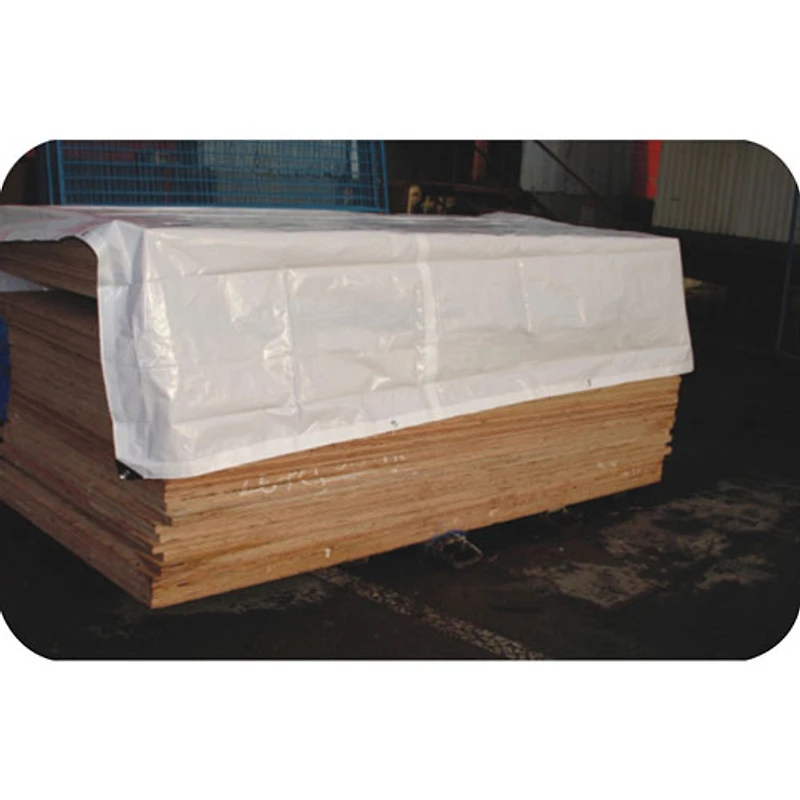 Toile de 24 x 36 pi de Western Rugged - Blanc