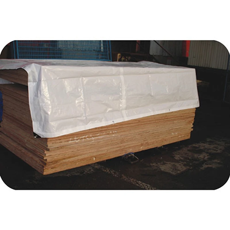 Toile de 50 x 50 pi de Western Rugged - Blanc