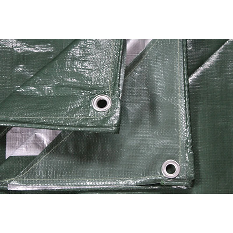 Toile de 30 x 40 pi de Western Rugged - Vert