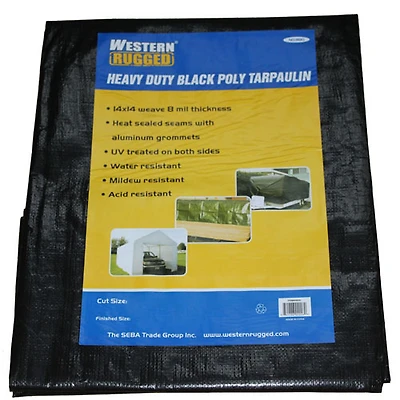 Toile de 30 x 30 pi de Western Rugged - Noir
