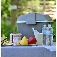 Glacière/Réchaud électrique 12 V 9 L (9,8 pte) à courroie de Koolatron - Gris