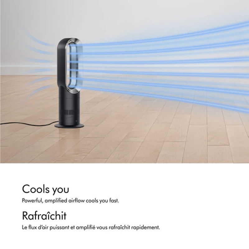 Dyson AM09 Hot + Cool Ceramic Fan Heater - Black/Iron