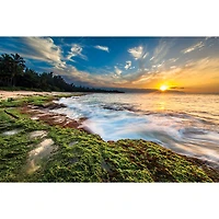 Objectif EF STM 50 mm f/1,8 de Canon