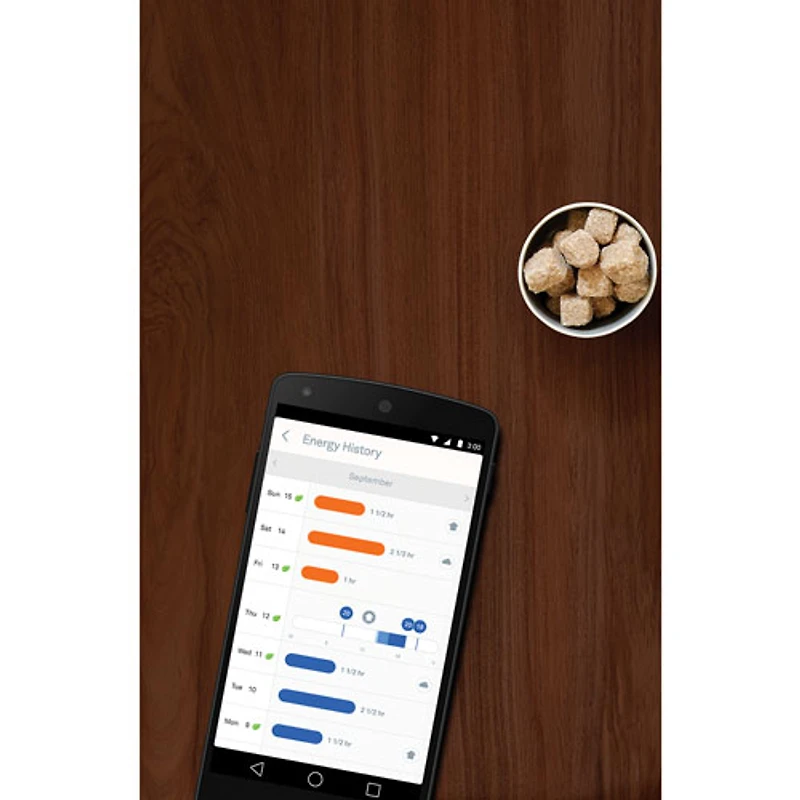 Google Nest Wi-Fi Smart Learning Thermostat (3rd Generation) - Stainless Steel