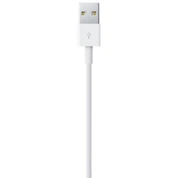 Apple 2m (6.5 ft.) Lightning to USB Cable (MD819AM/A)