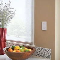 Trousse à gradateur sans fil Caseta Lutron à télécommande Pico et gradateur mural (P-PKG1W-WH-R-C)