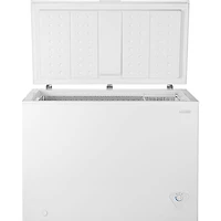 Congélateur-coffre pour le garage de 10,2 pi³ d'Insignia (NS-CZ10WH6-C) - Blanc - Exclusivité de Best Buy