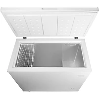 Congélateur-coffre pour le garage de 10,2 pi³ d'Insignia (NS-CZ10WH6-C) - Blanc - Exclusivité de Best Buy