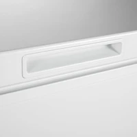 Congélateur-coffre pour le garage de 10,2 pi³ d'Insignia (NS-CZ10WH6-C) - Blanc - Exclusivité de Best Buy