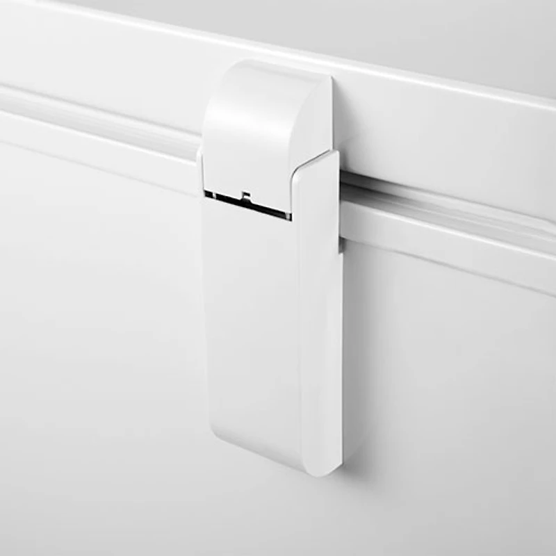 Congélateur-coffre pour le garage de 10,2 pi³ d'Insignia (NS-CZ10WH6-C) - Blanc - Exclusivité de Best Buy