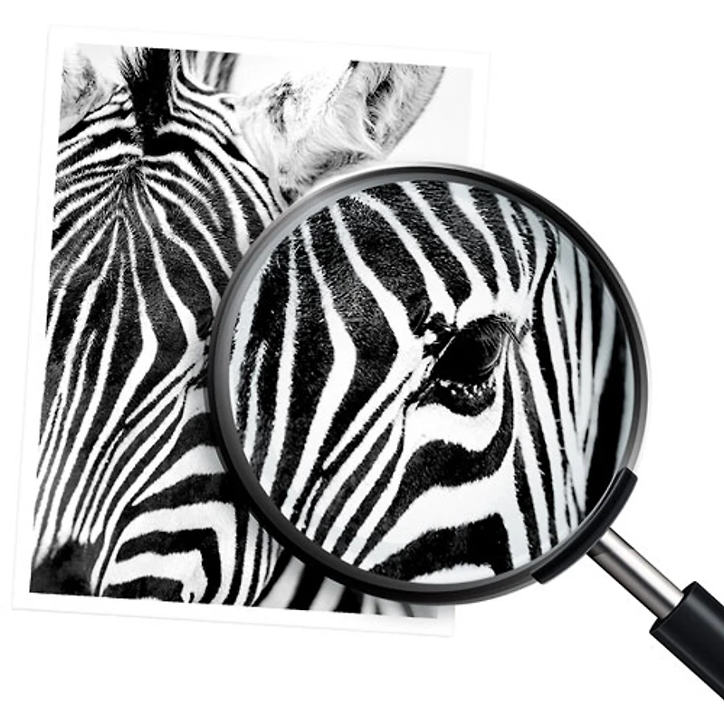 Cartouche de poudre d'encre noire 201A de HP (CF400A)