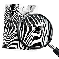 Cartouche de poudre d'encre noire 201A de HP (CF400A)