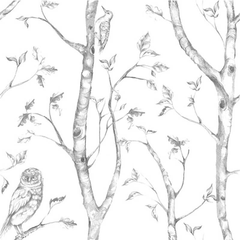 Papier peint autocollant à motif forestier NuWallpaper - Gris