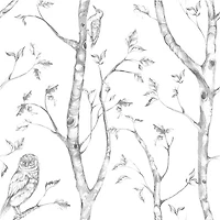 Papier peint autocollant à motif forestier NuWallpaper - Gris
