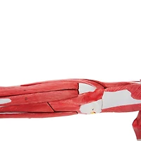 Walter Products Muscles of Human Arm Model