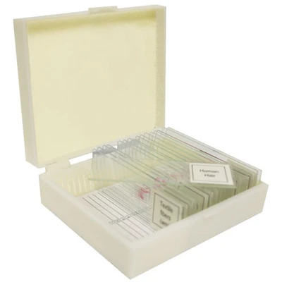 Walter Products Basic Zoology Prepared Slide Set - 15 Piece