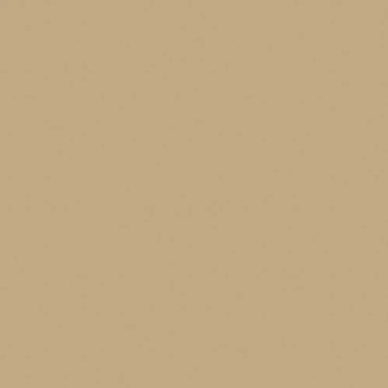 Feutre de 100 x 50 po Saturn II de Hathaway pour table de billard (BG263CA) - Chameau