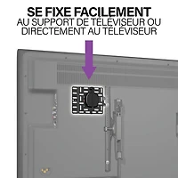 Panneau de fixation de SANUS pour appareils de diffusion