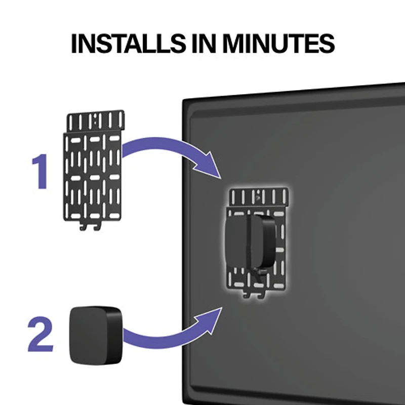 Panneau de fixation de SANUS pour appareils de diffusion