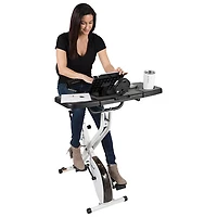 FitDesk Extension Kit