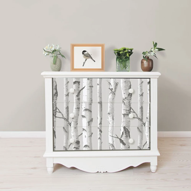 Papier peint autocollant à motifs de bouleaux NuWallpaper - Gris