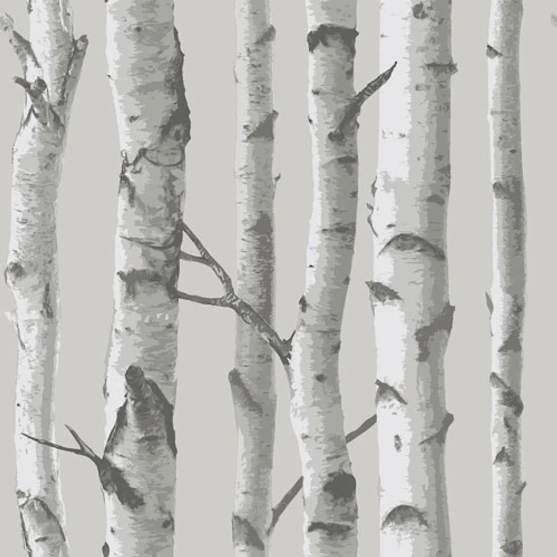 Papier peint autocollant à motifs de bouleaux NuWallpaper - Gris