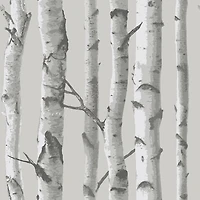 Papier peint autocollant à motifs de bouleaux NuWallpaper - Gris