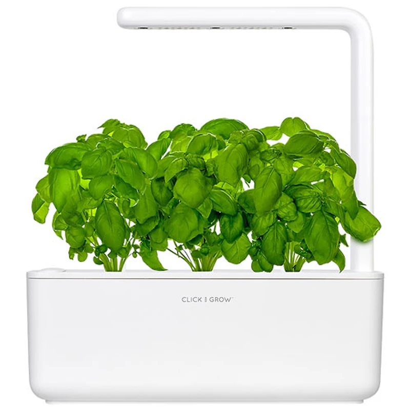 Jardin intérieur intelligent/capsule de basilic de Click & Grow (SGS1US) - Paquet de 3 - Blanc