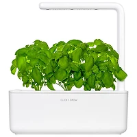 Jardin intérieur intelligent/capsule de basilic de Click & Grow (SGS1US) - Paquet de 3 - Blanc
